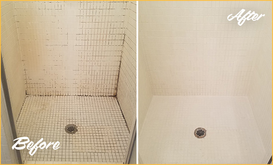 Before and After Picture of a Palmetto Bay Bathroom Grout Sealed to Remove Mold