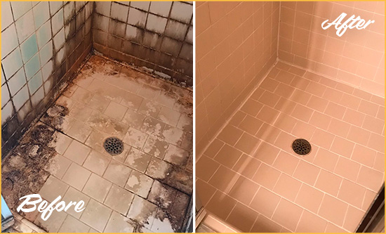 Before and After Picture of a Hialeah Gardens Ceramic Shower Cleaned to Remove Grime